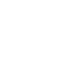 ICN-Speed